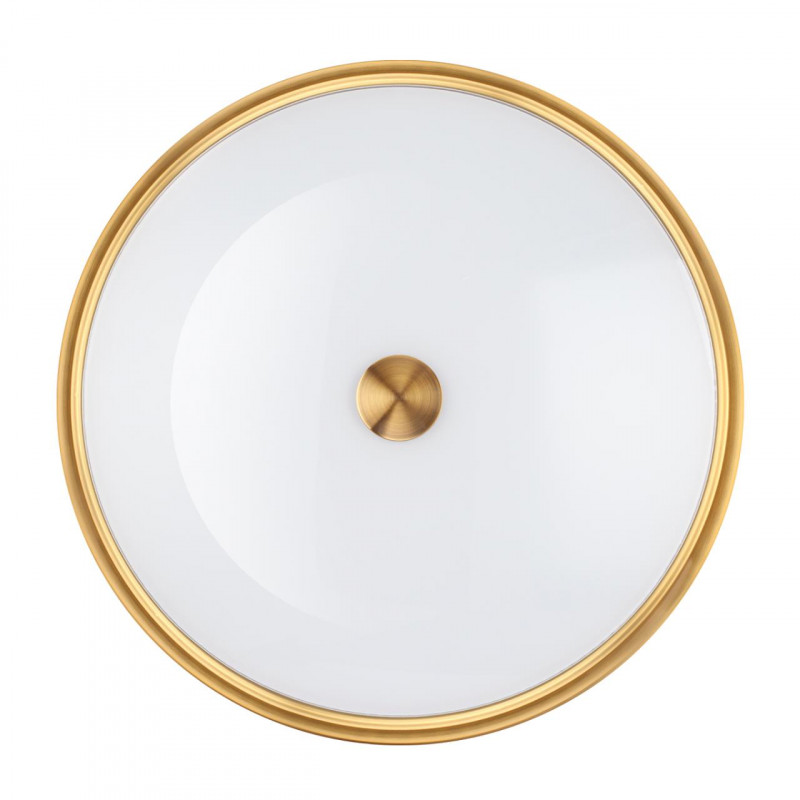 Накладной светильник Odeon Light 4824/4C