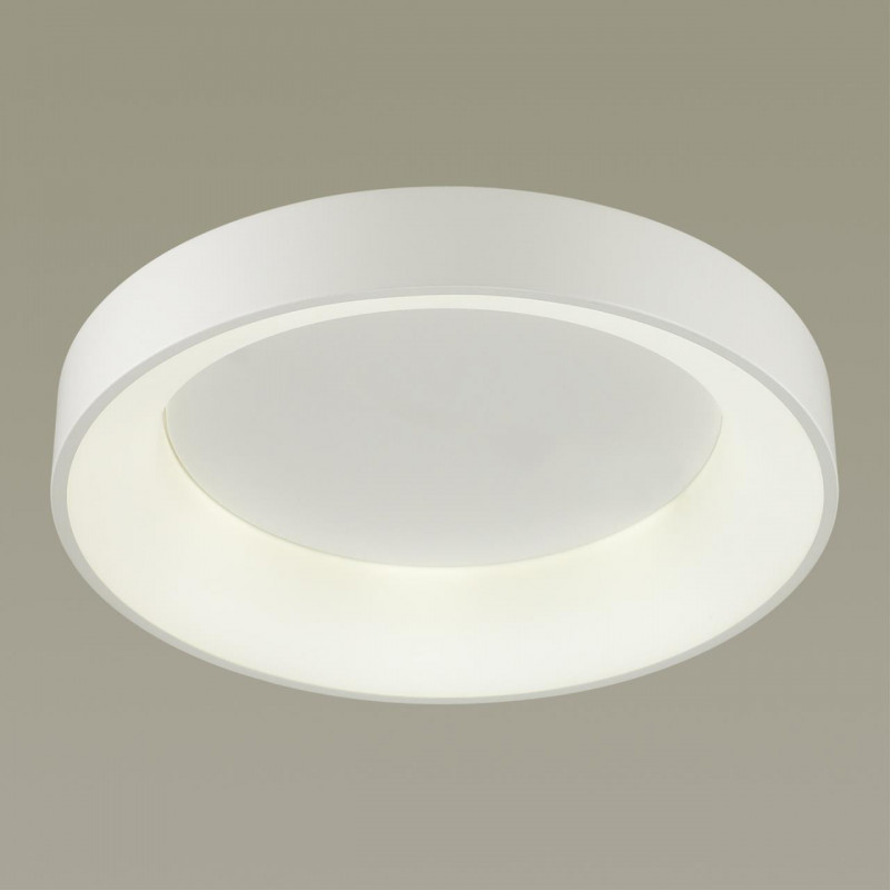 Накладной светильник Odeon Light 4062/50CL